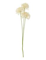 Bloomingville - Allium Stem - Džiovintos gėlės - Balta