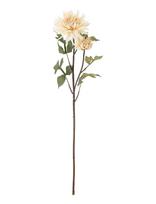 Bloomingville - Chrysantemum Stem - Džiovintos gėlės - Kreminė spalva