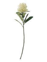 Bloomingville - Needle Flower Stem - Džiovintos gėlės - Geltona