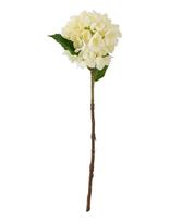 Bloomingville - Hydrangea Stem - Džiovintos gėlės - Balta