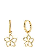 Edblad - Alba Hoops Gold - Auskarai - Aukso