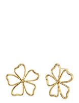 Edblad - Alba Studs L Gold - Auskarai - Aukso