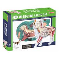 4D MASTER Calico Cat Dissection Model: Educational Toy for Animal Anatomy Teaching 26014 green