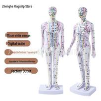 35cm Meridian Acupoint Model: Mini Traditional Chinese Medicine Acupuncture Figure