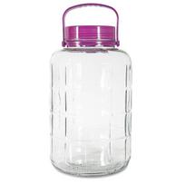 Užsukamas stiklainis, 8 l, su rankena