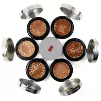 Elizabeth Arden Pure Finish Mineralinė pudra nº2 8,33g