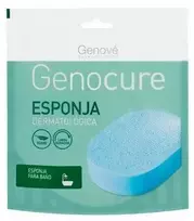 Genove dušo kempinė