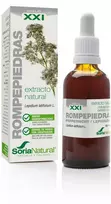 Soria Extracto Natūralus rompepiedros lapų Lepidium latifolium L. ekstraktas augaliniame glicerine S Xxi 50ml
