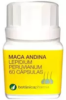 Botánicapharma Andų Maca 500mg 60 kapsulių