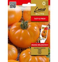 Orange Valgomųjų pomidorų sėklos Oranžinis WELLINGTON H, 15 vnt