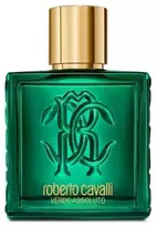 Roberto Cavalli Rc Uomo Verde Assoluto EDP, 100 ml