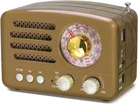 PRUNUS nešiojamas retro radijas su Bluetooth, FM/AM/SW, 1800 mAh akumuliatoriumi, J-160