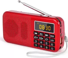 PRUNUS nešiojamas FM radijas su skaitmeniniu laikrodžiu, 3000 mAh akumuliatoriumi, USB/SD/AUX grotuvas, J-725