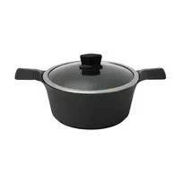 Indukcinis puodas su dangčiu Zyle ZY3024PT Ø24 cm, 4l