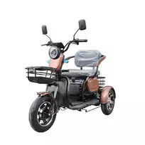 Elektrinis triratis mopedas-motoroleris EMOTO M20 1000W 60V 20AH dvivietis + Dovana