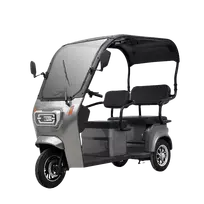 Elektrinis triratis mopedas motoroleris MQ su stogu 1000W  32AH 72V