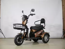 Elektrinis triratis mopedas motoroleris LIDIA J3 1000W 20AH
