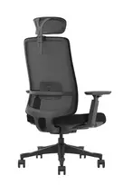 Ergonominė darbo kėdė Viborg HRU