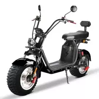 Elektrinis motoroleris čioperis Citycoco CP-1 MAX OFFROAD 1000W 20Ah