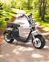 Elektrinis dviratis registruojamas motoroleris - čioperis Citycoco Q10 3000W 26AH 60V