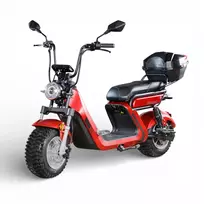 Elektrinis motoroleris E-baldur A9 OFFROAD EEC 1000W 60V 20AH