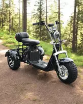 Elektrinis triratis motoroleris - čioperis Citycoco EB-05 PLUS 1000W 20AH 60V