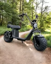Elektrinis dviratis - čioperis Citycoco EB-X21-8 OFF ROAD 20Ah 60V