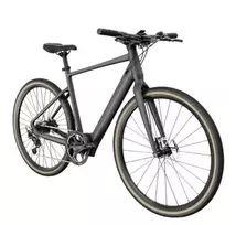 FIIDO C21 E-GRAVEL elektrinis dviratis (28")