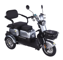 Elektrinis triratis RIDE-E AMBER (EEC) 1000W 20Ah 