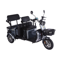 Elektrinis triratis RIDE-E LARGO (EEC) su galine sėdyne/krovinių vieta 1000W 32Ah