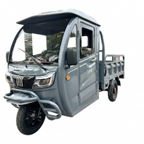Elektrinis krovininis triratis RIDE-E TITAN (EEC) 1000W 45Ah 60V