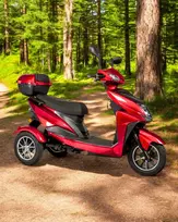 Elektrinis triratis motoroleris EM-2200 SL-05 32AH 60V 1000W
