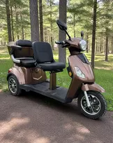 Elektrinis keleivinis dvivietis triratis motoroleris SL-02L 1000W