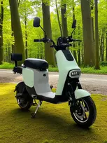 Elektrinis dviratis motoroleris LL-07 1000W 20AH 48V LEAD-ACID žalias