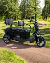 Elektrinis keleivinis/krovininis triratis motoroleris SL-08 1000W 3Ah 60V