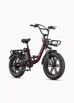 Dviratis 20  elektrinis Engwe L20 Boost 250Wh Step-Thru raudonas