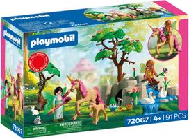 PLAYMOBIL Fairies´ Day Trip 72067