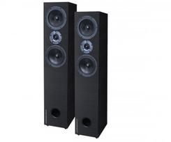 Acoustique Quality LABRADOR 38 Audiofilinė stovinti dvipusė 220 W galios dvipusė garso kolonėlė