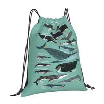 Baleen Whales Pattern Design Laptop Travel School Bags Baleen Whale Cute Funny Humour Wildlife Nature Science Zoology Species OneSize