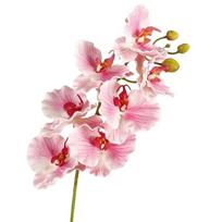 Butterfly Orchid Artificial Orchid Flower Real Touch Realistic Faux Phalaenopsis Handmade Luxury Simulation Big Moth Orchid rožinė