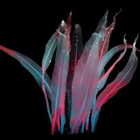 Aquarium Artificial Kelp Soft Silicone Plant Move with Water Flows 7 Inch High Realistic Seaweed Fish Tanks Decorations
