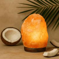 Himalayan Salt Lamp 24-25 kg