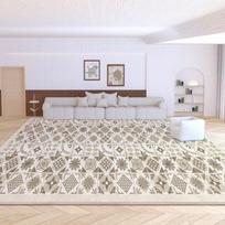 French Dirt-Resistant, Easy-Care Area Rug for Living Room & Bedroom 80x120 cm