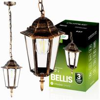 Pakabinamas lauko sodo šviestuvas E27 Žibintas Patina Bellis Lumiled