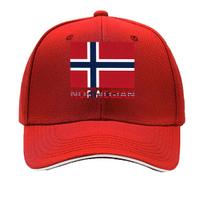 Norway Flag Print Adjustable Snapback  Washable  HandWashable Patriotic Sports Hat for Outdoor Sandwich Baseball Cap One Size