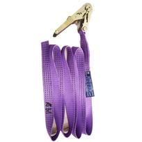 ZHONGYUROPENETBELT Cargo Ratchet Tie-Down Strap violetinė
