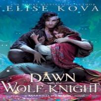 A Dawn with the Wolf Knight by Elise Kova Paperback Book 9781398713666