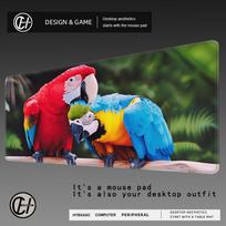HYBXAXC Animal Bird Parrot Game Carpet Mouse Pad Anti Slip Mousepad Gaming Mice Mat for PC Laptop Desktop Computer 800x400x2mm
