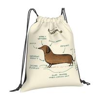 Anatomy Of A Dachshund School Bags Travel Laptop Backpack Anatomy Dachshund Sausage Dog Pooch Puppy Canine Pet Sweet German OneSize