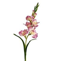 Kūrybingas daugiaspalvis gladiolas dirbtinė gėlė šilko žiedlapis žali lapai simuliacija gėlės ornamentas nuotraukų rekvizitas dirbtinė gėlė dovana rožinė